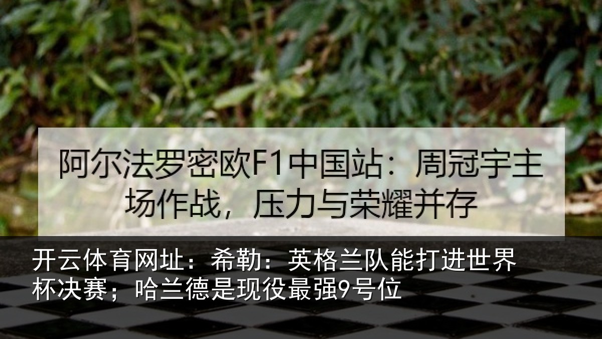 开云体育网址:希勒:英格兰队能打进世界杯决赛;哈兰德是现役最强9号位