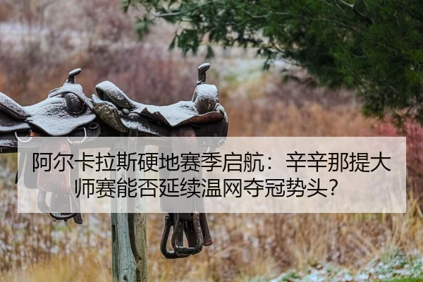 a-er-ka-la-si-ying-di-sai-ji-qi-hang-xin-xin-na-ti-da-shi-sai-neng-fou-yan-xu-wen-wang-duo-guan-shi-tou-2-988.jpg