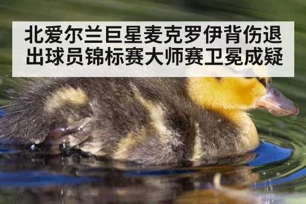 北爱尔兰巨星麦克罗伊背伤退出球员锦标赛大师赛卫冕成疑