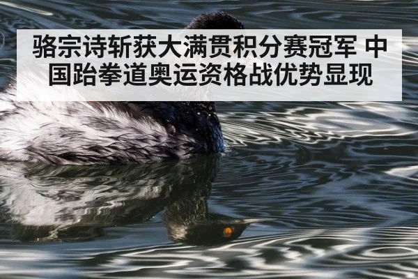 骆宗诗斩获大满贯积分赛冠军 中国跆拳道奥运资格战优势显现
